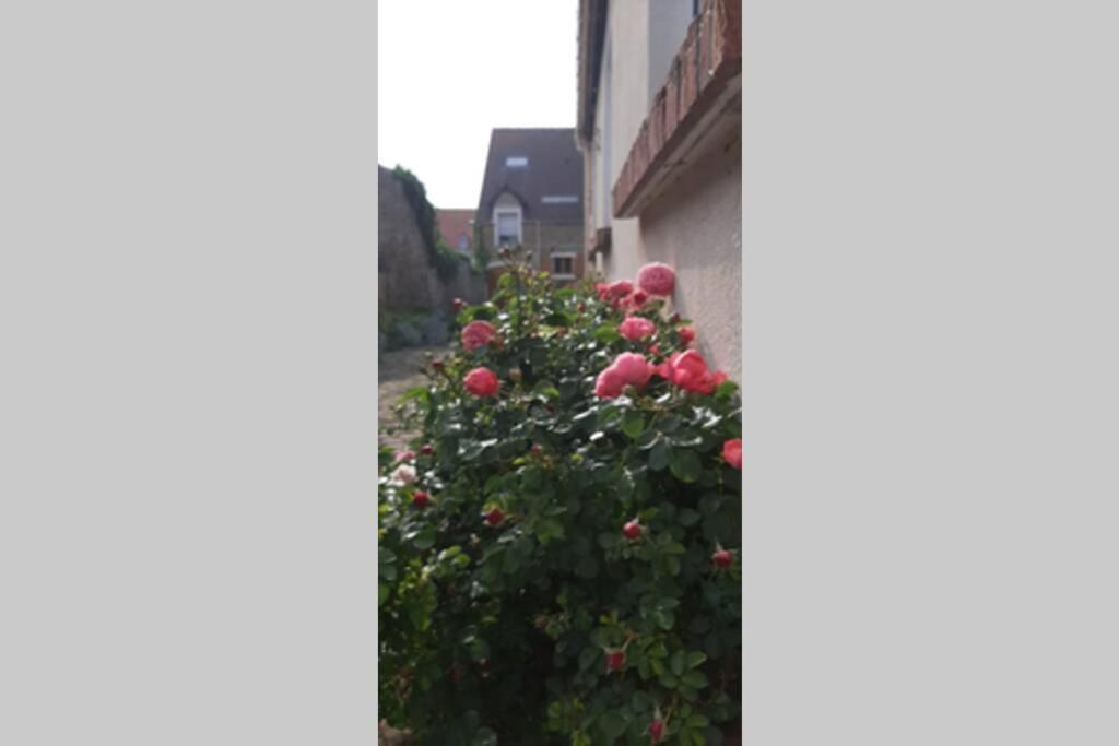 La Cour Pavee Villa Boulogne-sur-Mer Exterior photo